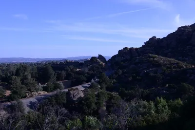 DSC_2089 (Large).JPG